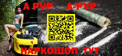 стафф Донской