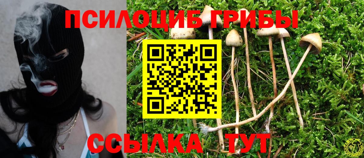 Богородск  Псилоцибиновые грибы Psilocybine cubensis  Галлюциногенные грибы Psilocybine cubensis  Вход с VPN 