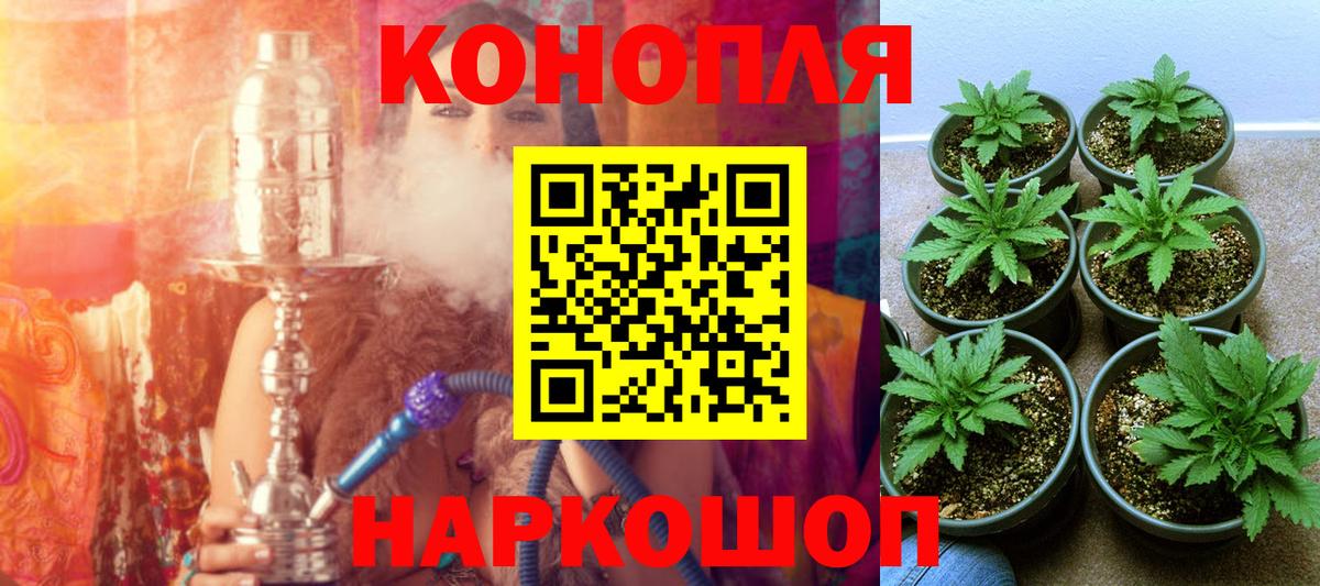 Богородск  Шишки марихуана MAZAR  Бошки марихуана гибрид  Конопля тримм  Вход с VPN 